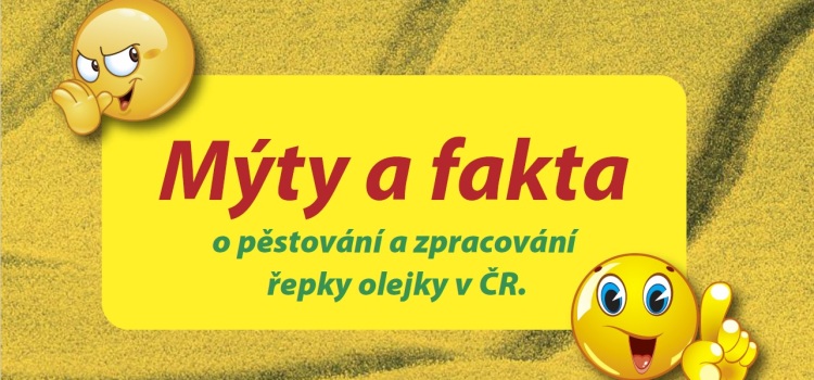 Mýty a fakta o pěstování a zpracování řepky olejky v ČR